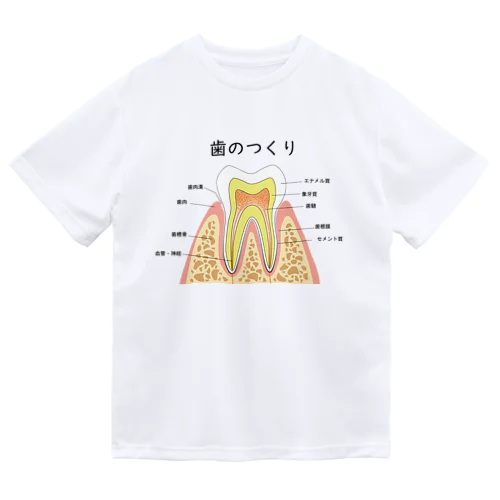 歯のつくり Dry T-Shirt
