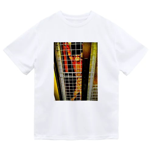 チャロリズム Dry T-Shirt