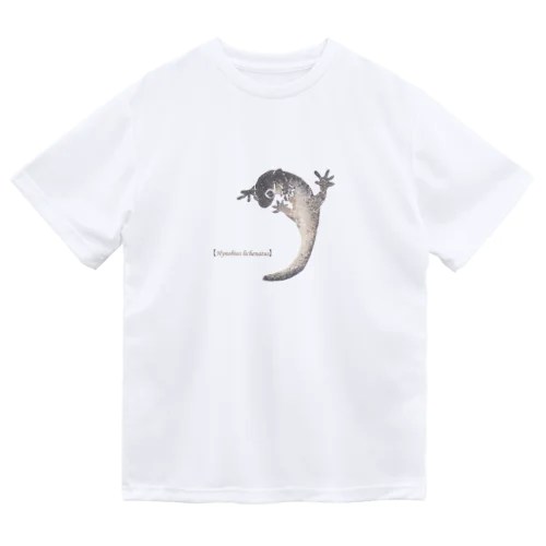 サンショウウオ ドライTシャツ