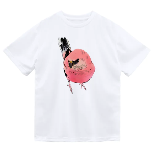 見つめるアキクサインコ ドライTシャツ