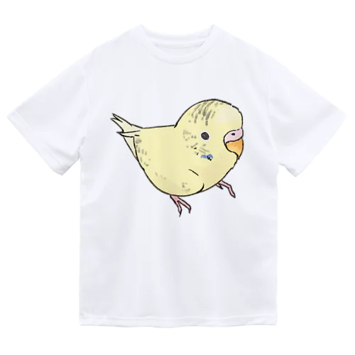 可愛いセキセイインコ　おすましちゃん【まめるりはことり】 ドライTシャツ