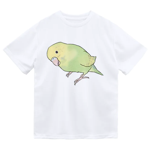 首傾げ　スパングルセキセイインコちゃん【まめるりはことり】 ドライTシャツ