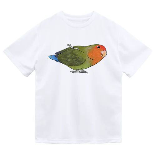 おすましコザクラインコ　きなこちゃん【まめるりはことり】 ドライTシャツ