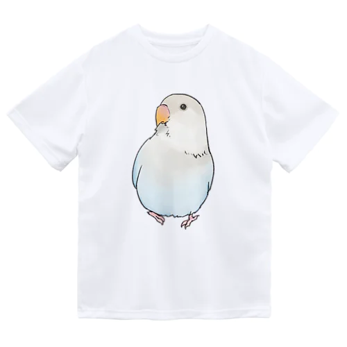 おすましコザクラインコ　らむねちゃん【まめるりはことり】 ドライTシャツ