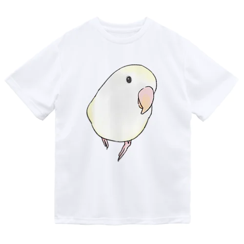 コザクラインコ　バイオレットパイドちゃん【まめるりはことり】 ドライTシャツ