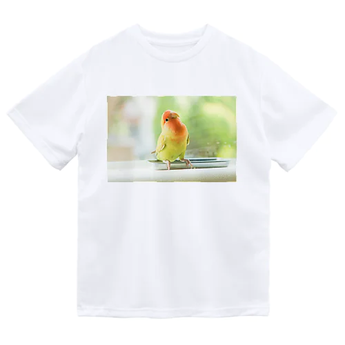 おとぼけインコ ドライTシャツ