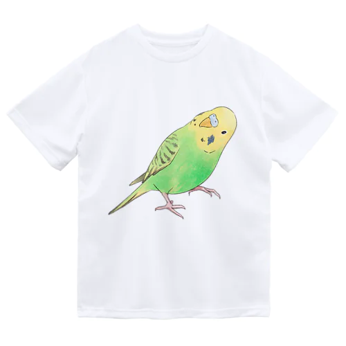 首傾げセキセイインコ　ピーちゃん【まめるりはことり】 ドライTシャツ