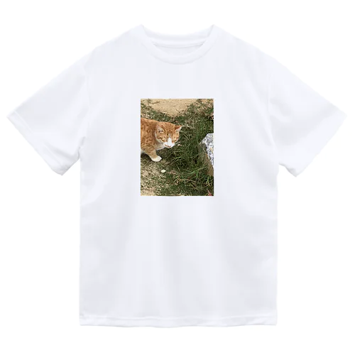 沖縄の野良猫 Dry T-Shirt