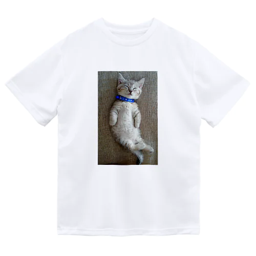 猫スヤスヤマンチカン Dry T-Shirt