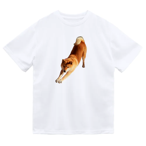 伸びしてる柴犬(のびしてるしばいぬ) Dry T-Shirt