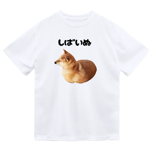 丸まってる柴犬(文字あり) Dry T-Shirt