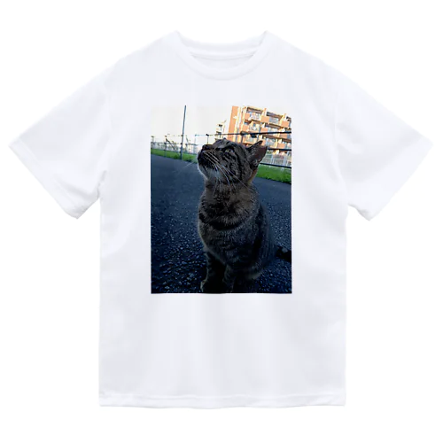 とらちゃん　type.Ｂ Dry T-Shirt