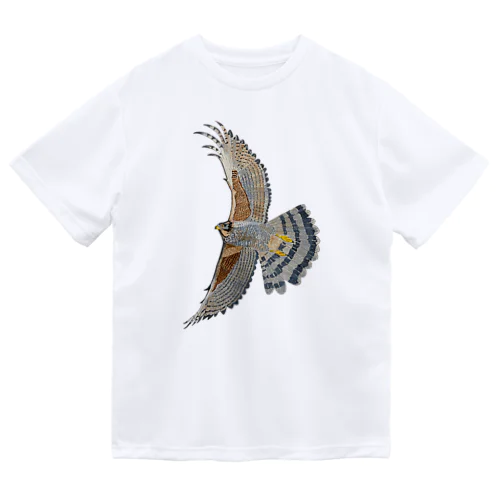 ⭐️サシバ & ハヤブサ だぞっ🦅 ドライTシャツ