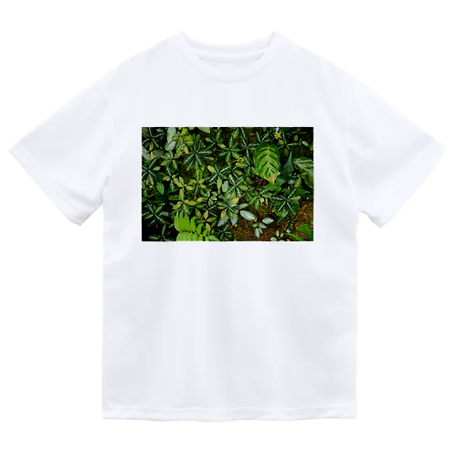 青時雨 Dry T-Shirt