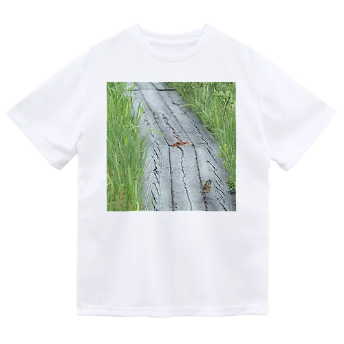 ホオアカの寄り道② Dry T-Shirt