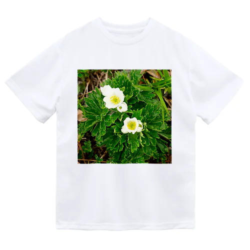 植物図鑑 ハクサンイチゲ Dry T-Shirt