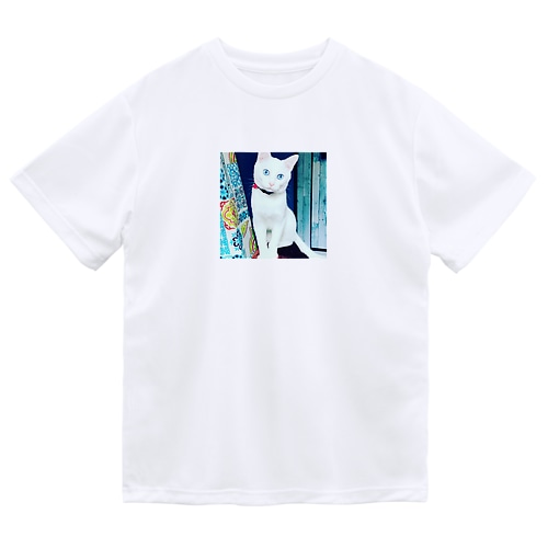 大福の神的1枚 Dry T-Shirt
