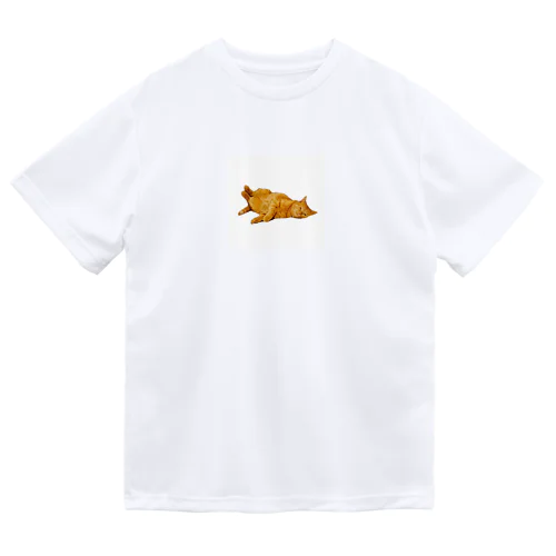 落ちてる猫 Dry T-Shirt