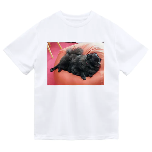 寝る犬 Dry T-Shirt