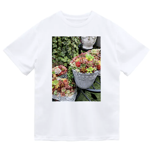 多肉植物　寄せ植え ドライTシャツ