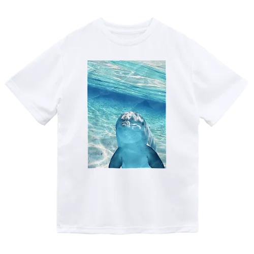 Dolphin(セール中) Dry T-Shirt