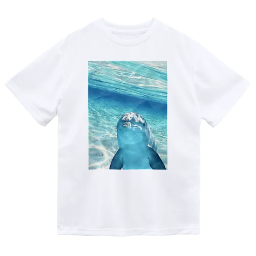 Dolphin(セール中) ドライTシャツ