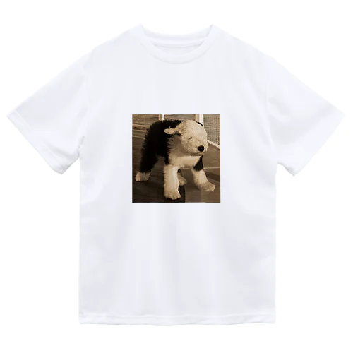 風に立ち向かう子犬 Dry T-Shirt