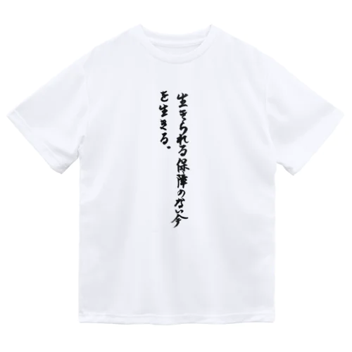 かくげん0002 Dry T-Shirt