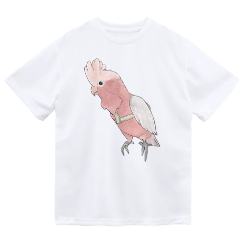 ご機嫌モモイロインコちゃん【まめるりはことり】 ドライTシャツ