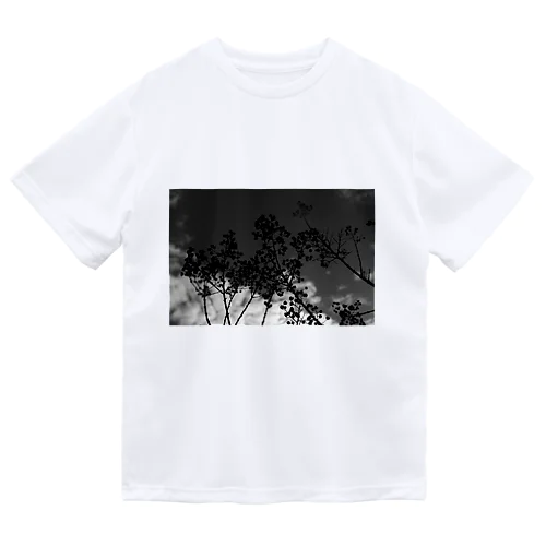 季節の変わり目のシドニー白黒写真 ドライTシャツ