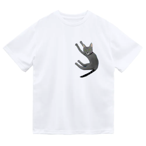 ふぇるめーるのふぇるくん Dry T-Shirt