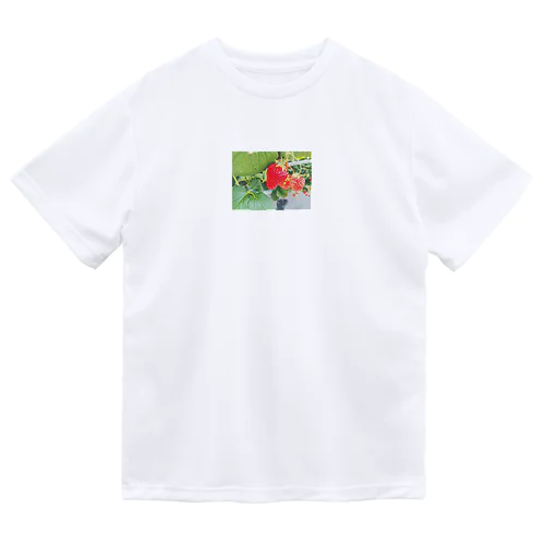 ストロベリーちゃん Dry T-Shirt