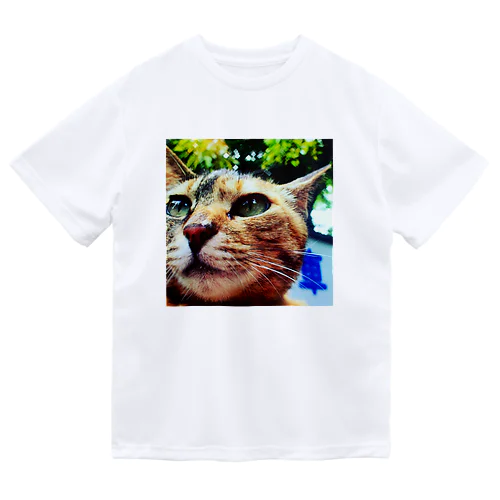 公園猫　 Dry T-Shirt