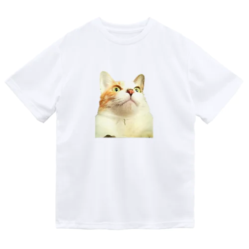 猫のネネちゃん ドライTシャツ