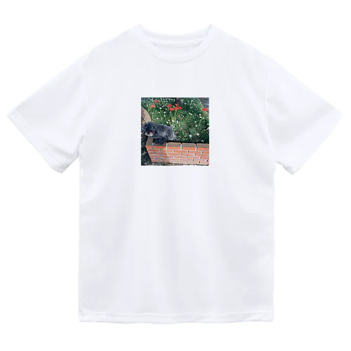 セプテンバー Dry T-Shirt