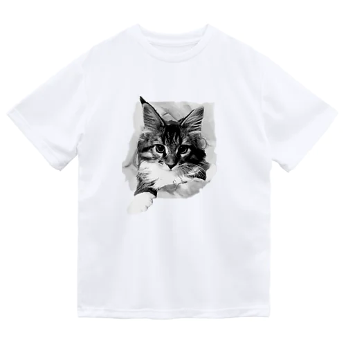 Big 子猫　破いちゃった Dry T-Shirt