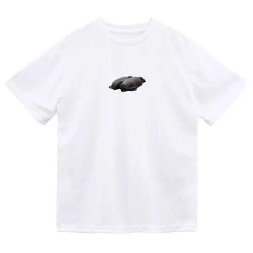 かばくんとかばこちゃん Dry T-Shirt