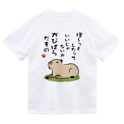 かぴばらだもの① Dry T-Shirt