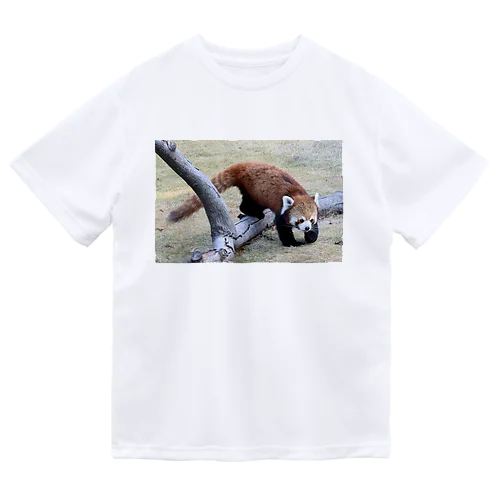 レッサーパンダ ドライTシャツ