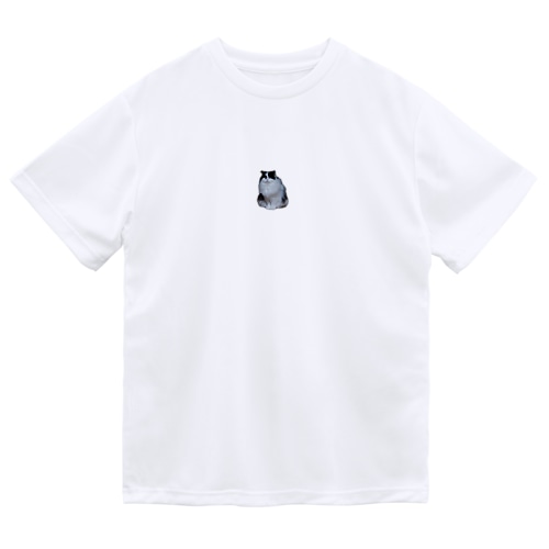 たいさん Dry T-Shirt
