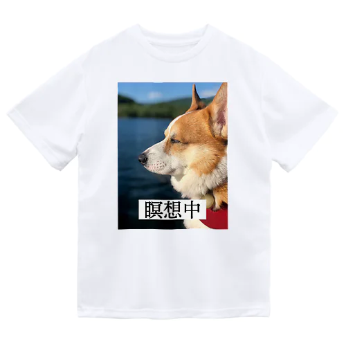 瞑想コーギー Dry T-Shirt