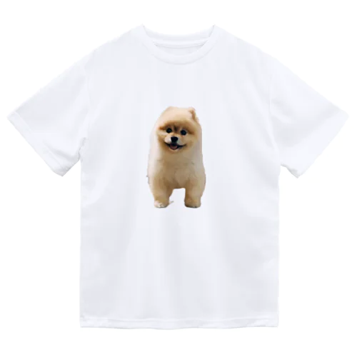 ポメラニアンのココちゃん Dry T-Shirt