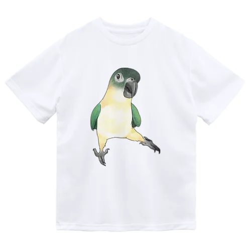 ご機嫌なズグロシロハラインコのカイ君【まめるりはことり】 ドライTシャツ