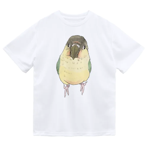 可愛いウロコメキシコインコちゃん【まめるりはことり】 ドライTシャツ