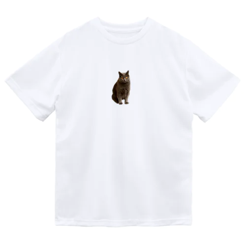 ねこのもあたん ドライTシャツ