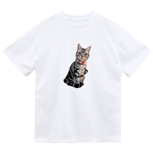 猫のトォーラ ドライTシャツ