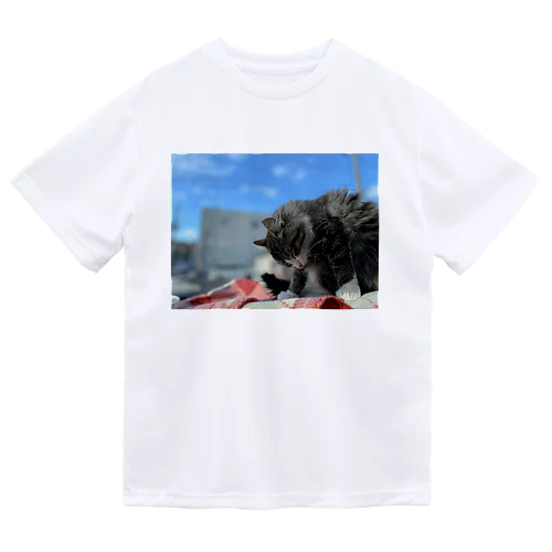 たびねこ蜜柑 Dry T-Shirt