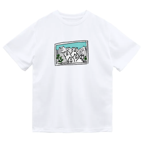 マウントキャットモア Dry T-Shirt