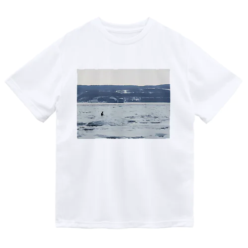 流氷と鳥 ドライTシャツ