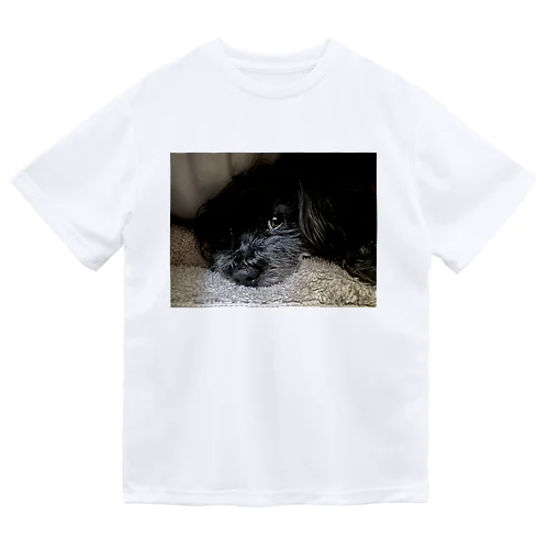 くろいぽめぷー Dry T-Shirt